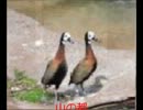 そばにいるから