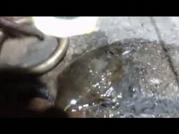 【水中カメラで】合わせシステム完成∠(゜Д゜)/【魚釣り】