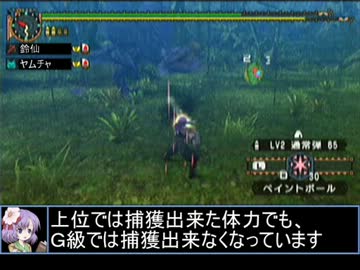 【東方】迷い込んでポッケ村　第五十二話・狩猟３【ＭＨ】