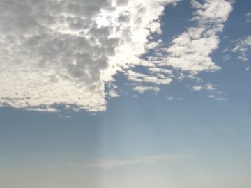 サイハテを歌ってみました