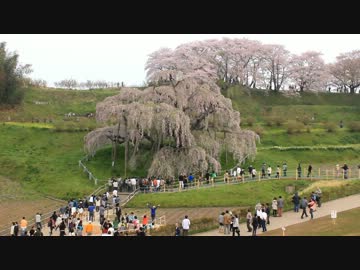 東北に行こうよ！最終回　そして…春