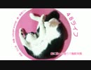 【ハウス】 ４８ライフ 【鏡音リン・オリジナル】