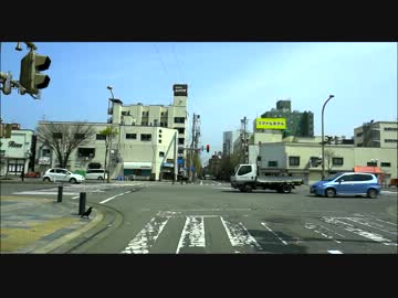 【車載動画】カラスが歩道を横断するだけの動画【テスト】