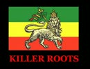 【作業用BGM】KILLER ROOTS