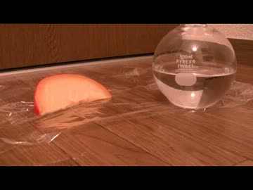 ダンジョンマスターで採れた食べ物で暮らす一週間 実況付き 1-4