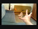 猫をサイコキネシスで操ってみた