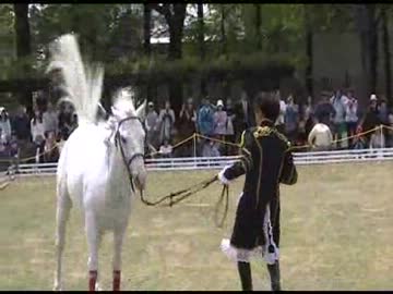 トリックホースショー