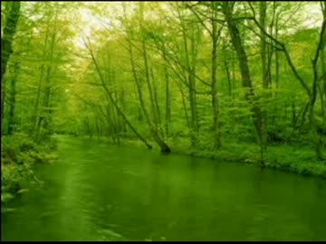 作業用BGS「川のせせらぎ、鳥の声、風の音」