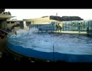 江ノ島水族館