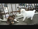 エリミネーター通信 004号