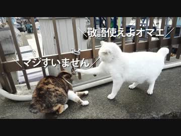 エリミネーター通信 004号