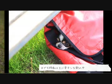 P.S.旅にでます Part.最終回