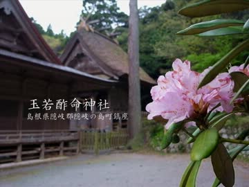 【高画質】古社の風景 ～隠岐 玉若酢命神社～