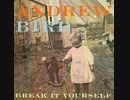 Andrew Bird - Give It Away