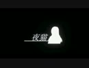 【雑魚】猫式マッタリ型凸ミサイル【ＢＢ】　２１匹目