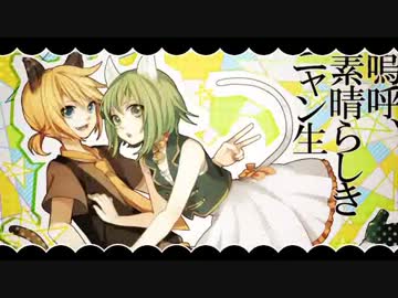 【junさんと】嗚呼、素晴らしきにゃん生【歌ってみた】
