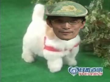 愛犬ロボ「ずん」