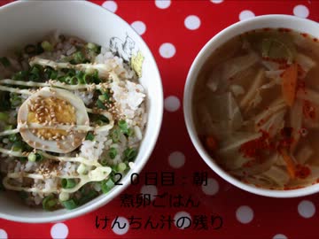 【ぬるく】食費１カ月１万円ぐらい生活３週目【たまに猫】