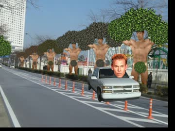 兄木　街路樹編