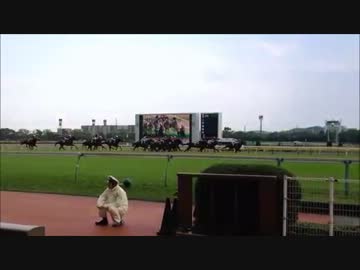 2012 NHKマイルカップ直線