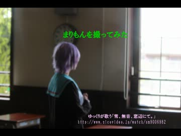 まりもんを撮ってみた。
