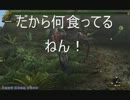 【MHF】格闘王・爆弾・投擲系で全下位HC！part5　ダイミョウザザミ　２／２
