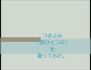 つきよみ「涙ひとつぶ」を歌ってみた。