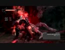 ～三十路超忍のNINJA GAIDEN 3～　超忍12ソロプレイ（1/2）