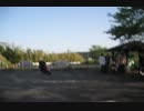 手振れ補正テスト（長井鶴）
