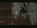 Gackt - Secret Garden PV.mp4