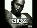 BIG-Z - GANGSTA FLAVOR