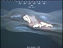 深海に浮遊する謎の物体