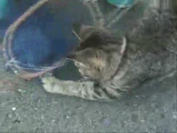 グダグダあお～ず2　海釣り初見プレイ