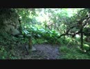 波照間島　ぶりぶち公園を歩く 720p 59.97fps