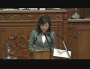 20120510 衆議院本会議 野田聖子 （自民）