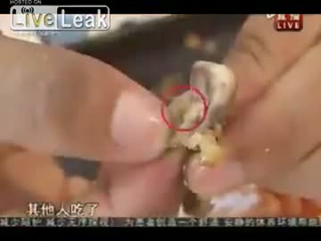 中国のマクドナルドのチキンに生きた蛆虫が入っていたようです