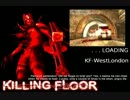 Killing Floor - 昔のソロ動画1