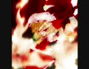 GABBAっぽいのをつなげてみた2