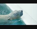 熊本市動植物園をお散歩