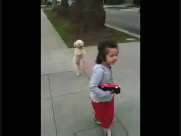二本脚で歩く犬を散歩させる幼女