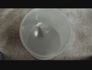 他の蜂達も訪問して来たので虜囚にした。