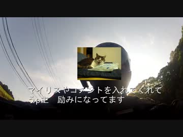 ヤエーを1000人撮れるかな　v(・∀・)yaeh!  　琵琶湖番外編