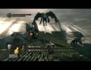 【実況】DARK SOULS解説実況番外編第２回【でもヘタレ】