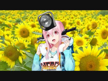 ホタル撮影キャンプツーリング