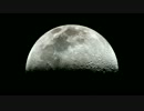 My Dog Lives On The Moon