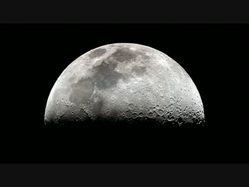 My Dog Lives On The Moon