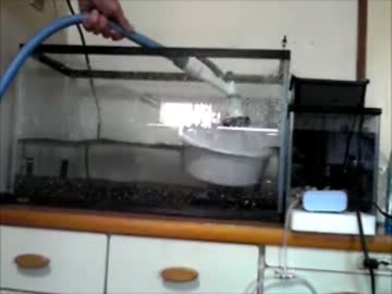 おっさんときんぎょ⑪＜底面ろ過再検討・完成編＞