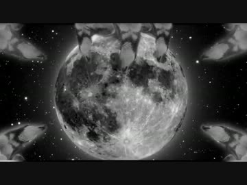 MyDogHowlsAtTheMoon