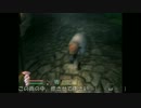 oblivionおなのこプレイ・５３