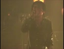 VIBE ON!-thee michelle gun elephant